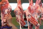 هر شقه گوشت داخلی به ٥٠ هزار تومان رسید